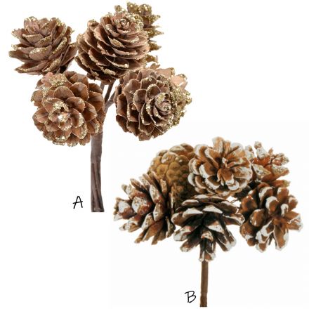 Bunches of pine cones